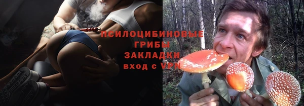 трава Армянск