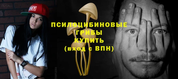 мет Арсеньев