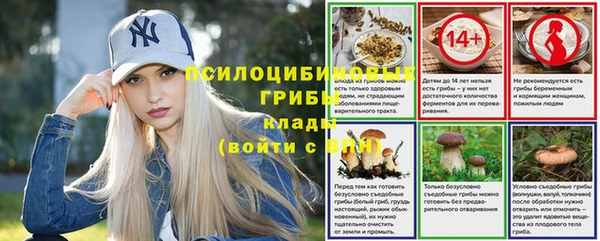 трава Армянск