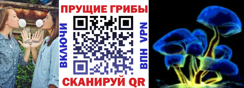 Псилоцибиновые грибы ЛСД  Спас-Деменск 